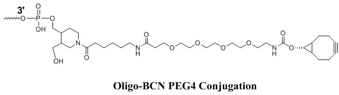 Bio-Synthesis Inc. Oligo Structure